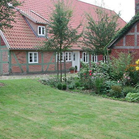 Ferienwohnung Am Elbdeich เบลคเคอเดอ ภายนอก รูปภาพ